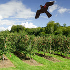 Bird Hawk Flying Kite with Pole Crops Farm Protector Bird Scarer Flying Kite with 4m Pole-Style C