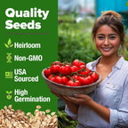 HOME GROWN Beefsteak Tomato Seed Pack - 300 Heirloom Tomato Seeds for Planting Outdoors – High-Yield Non-GMO Vegetable Seeds for Growing Large, Meaty Tomatoes for Summer Dishes (Solanum lycopersicum)
