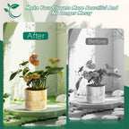 10 Pack Plant Support Plant Stakes Metal Half Round Search Support Ring Small Plastic Cage Holder Short Stem Flower Pot Climbing Trellis for House Flower Vegetable Indoor Leafy(5.7 x 5.9nch)
