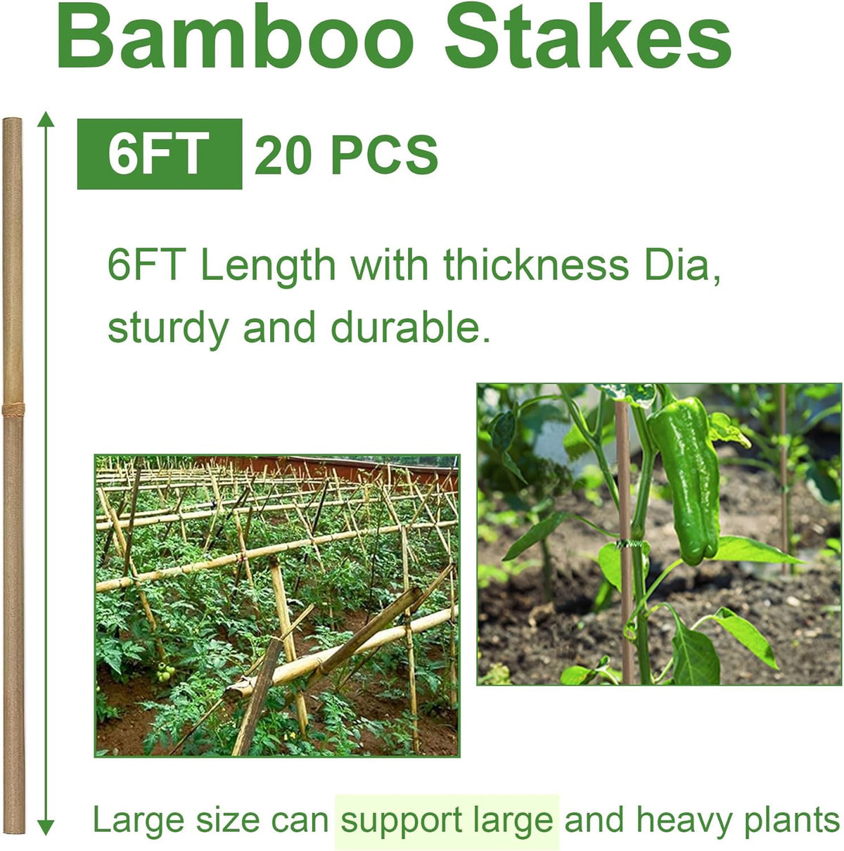 Bamboo Garden Stakes 2FT/3FT/4FT/4.8FT/6FT/7FT/8FT, Plant Stakes for Outdoor Plants, Plant Support Stakes Tomato, Vegetables Beans Trees Climbing Plants (6FT, Pack of 20)