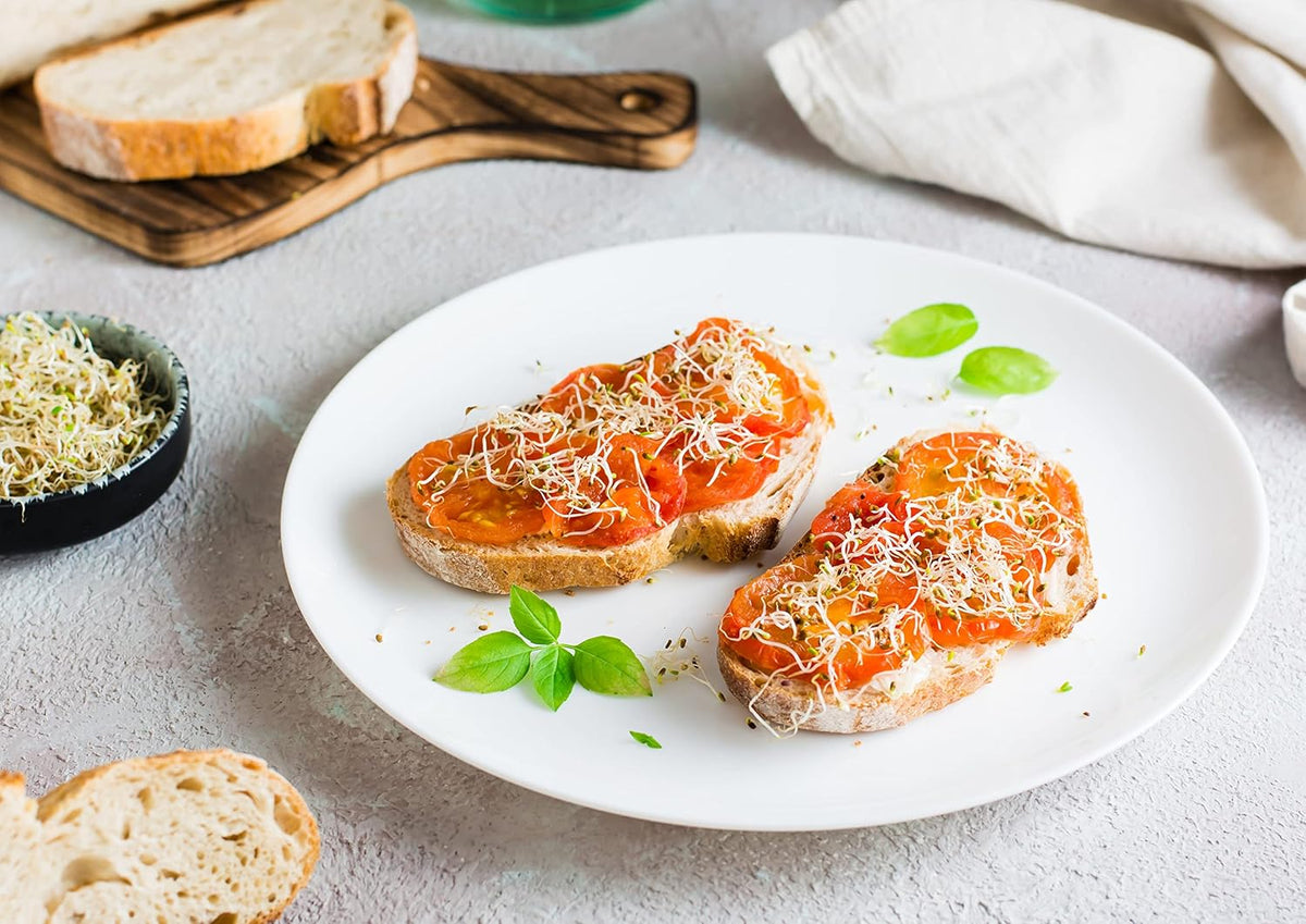 Food to Live - Organic Alfalfa Seeds for Sprouting, 8 Ounces Non-GMO, Edible Seeds, Pure, Vegan, Kosher, Bulk. Rich in Vitamin K, Vitamin C.