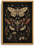 Djmwtb Vintage Framed Wall Art Moth Canvas Wall Art Prints Gothic Butterfly Floral Painting Boho Dark Academia Pictures Artwork for Living Room Bedroom Bathroom Office 12x16in