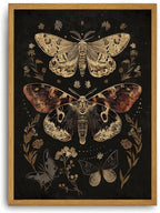 Djmwtb Vintage Framed Wall Art Moth Canvas Wall Art Prints Gothic Butterfly Floral Painting Boho Dark Academia Pictures Artwork for Living Room Bedroom Bathroom Office 12x16in