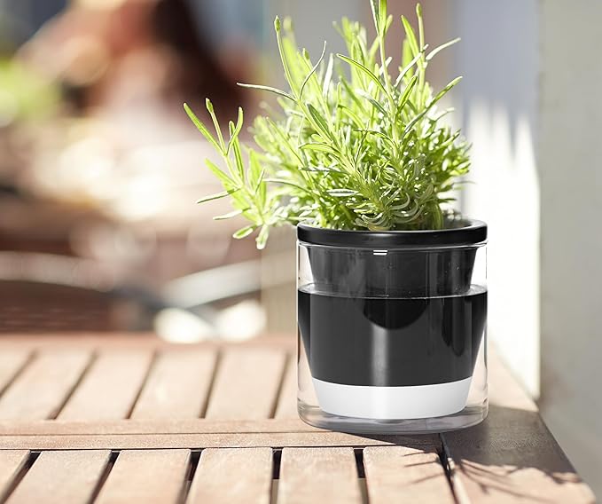 D'vine Dev 4 Inch Design Self Watering Planter for Indoor Plants, Black Terracotta Pot with Cylinder Glass Cup, Set of 4, 37-Z-A-3-F
