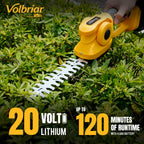 Volbriar 2-in-1 Cordless Pole Hedge Trimmer & Grass Shear, 14FT Reach
