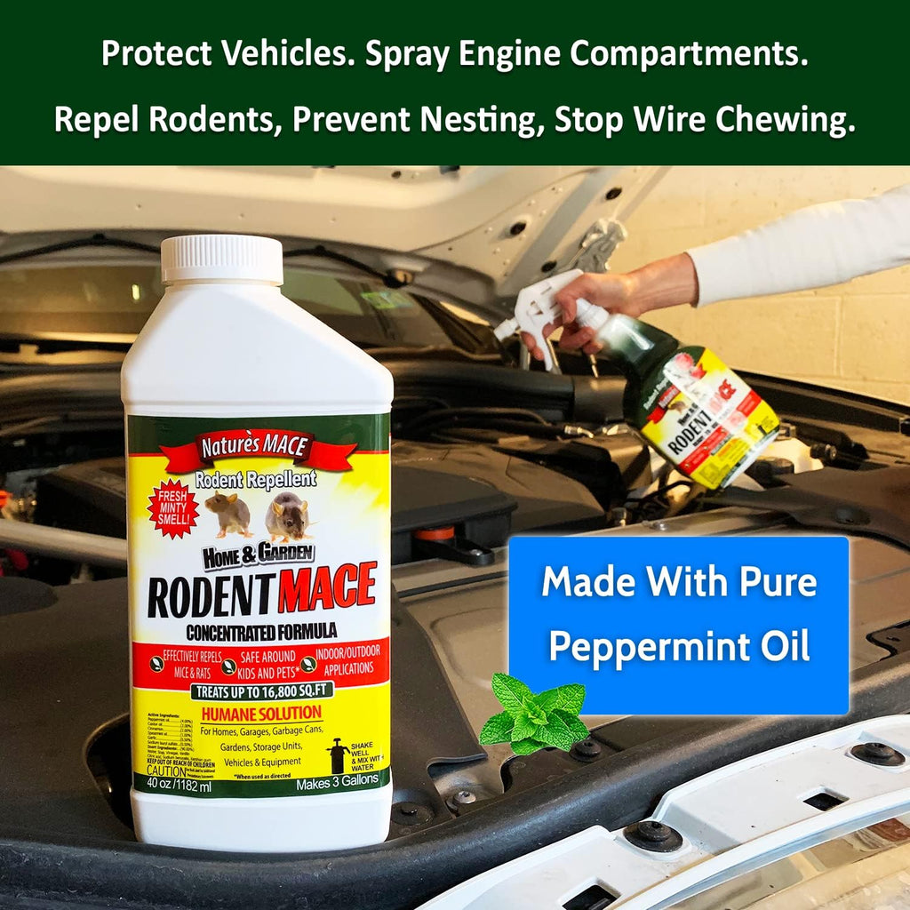 Nature’s MACE Rodent Repellent 1 Gal Concentrate Covers 87,000 Sq Ft, Rodent Repellent Outdoor, Keep Rodents Out of Home, Garage, Attic, Peppermint Spray Blend for Rodents, Safe Around Kids & Pets