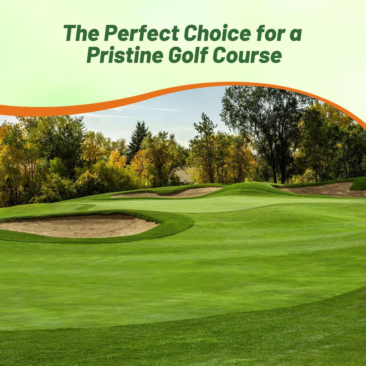 Outsidepride V8 Creeping Bentgrass Seed - 1 lb Fine-Bladed, Premium Quality Turf, Grass Seeds for Smooth Surface, & High-Traffic Areas, Ideal Grass for Golf Courses Putting Greens, & Fairways