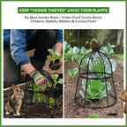 Decoroca 8 PCS Garden Cloches for Plants - Chicken Wire Plant Protectors from Animals, Outdoor Plant Cages to Keep Squirrels, Rabbits & Birds Out of Vegetable - DIY in 5 Forms - Sturdy Anti-Rust Dome