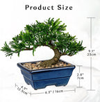 Artificial Bonsai Tree Faux Plants Indoor Small Fake Plants Decor with Blue Ceramic Pots for Home Table Office Desk Bathroom Shelf Bedroom Living Room Farmhouse Decorations