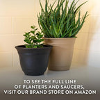 The HC Companies Sierra Round Self-Watering Pot - Lightweight Plastic Planter for Herbs & More - Durable Plant Pots for Indoor Plants & Outdoor Plants (10” Celtic Bronze, Pack of 2)