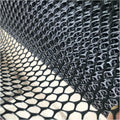 Plastic Chicken Wire Mesh Plastic Mesh Roll for Gardening Construction Barrier Netting Frame Crafts Plastic Mesh Fencing Poultry Fencing Garden Netting(Size:1.2cm mesh 1 * 10m,Color:Black)