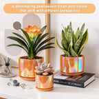 EFISPSS Ceramic Plant Pots,4+5+6 Inch Ceramic Indoor Pots for Plants with Drainage Hole,for Succulent Cactus,Pothos,Snake Plant Gift for Plant Lovers Set of 3 - Orange Pearl Glaze Plant Pots