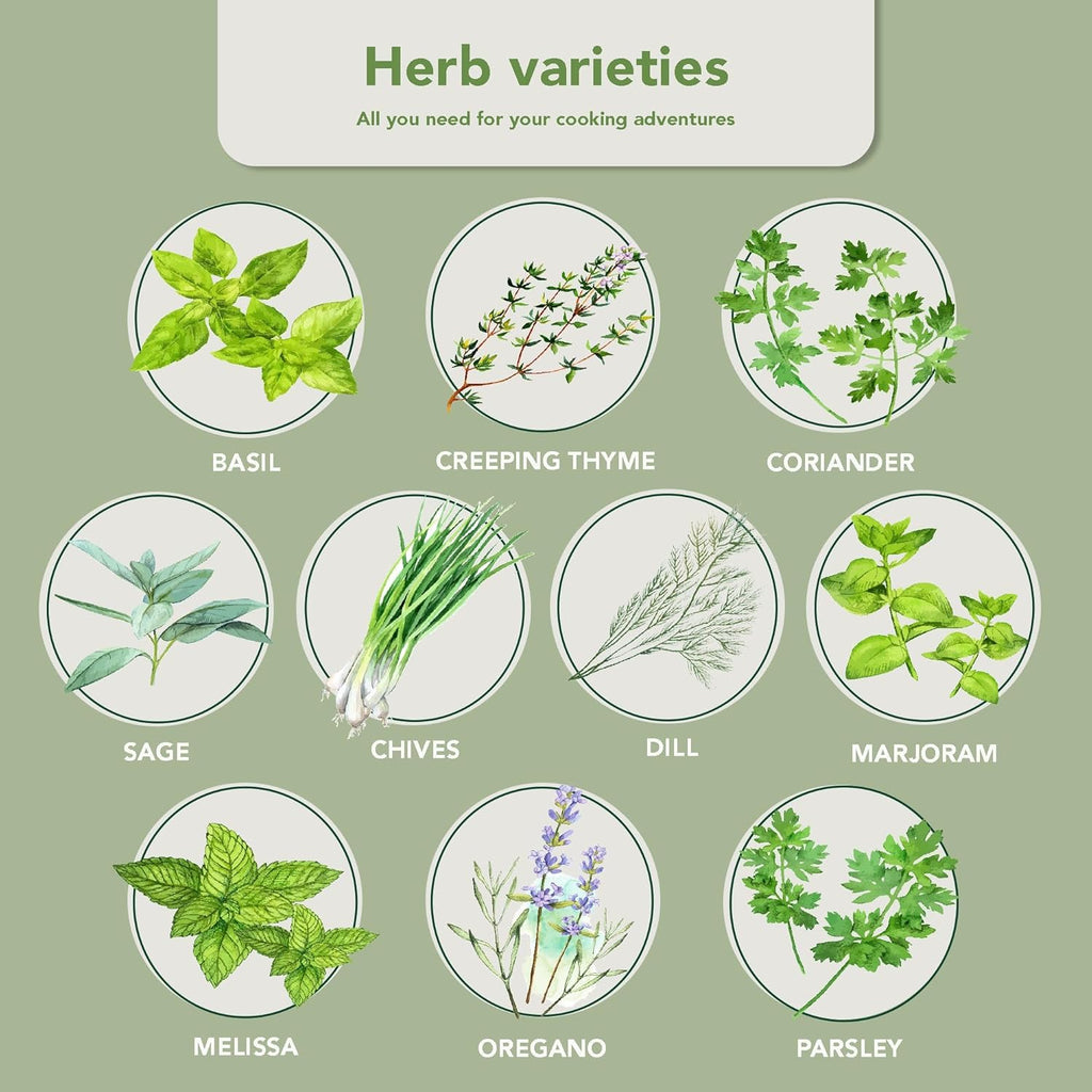 Garden Pack 10 Herb Indoor Window Herb Garden - Includes Pots, Trays, and Compressed Soil for Easy Indoor Herb Growing - Perfect Kitchen Herb Garden Starter Kit for Beginners and Gifts