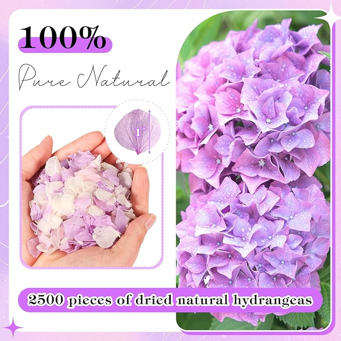 2500 PCS Purple and White Hydrangea Petals 100% Natural Real Flower Petals for Wedding Aisle, Flower Girl Scattering Flowers, Will You Marry Me, Romantic Night, Proposal, Anniversary, Special Night