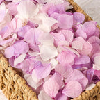 2500 PCS Purple and White Hydrangea Petals 100% Natural Real Flower Petals for Wedding Aisle, Flower Girl Scattering Flowers, Will You Marry Me, Romantic Night, Proposal, Anniversary, Special Night