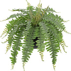 Hollyone Artificial Fern Plants in Pot 18.8" Small Artificial Boston Fern 24 Leaves for Outdoors & Indoor Faux Potted Plant Fake Ferns Bush Plant Patio Garden Farmhouse Porch Home Decor Dusty Green