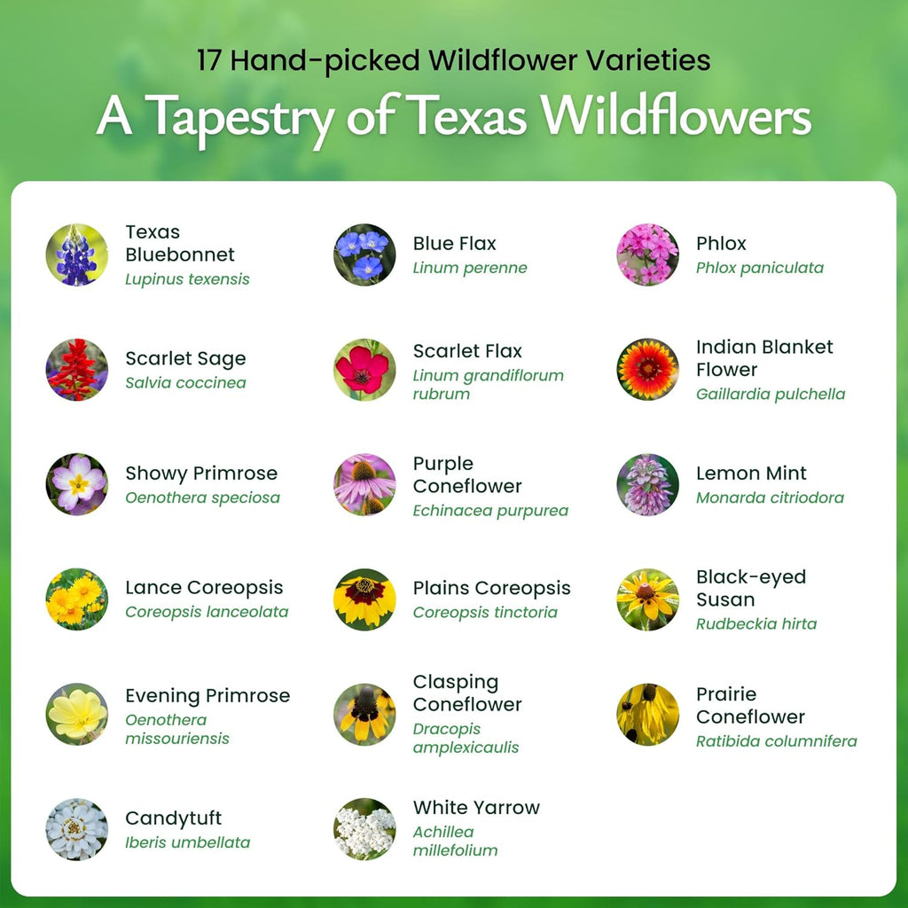 Created By Nature Texas Wildflower Seed Mix with Texas Bluebonnet Seeds, 17 Flower Varieties, 60,000+ Seeds