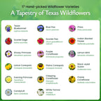 Created By Nature Texas Wildflower Seed Mix with Texas Bluebonnet Seeds, 17 Flower Varieties, 60,000+ Seeds