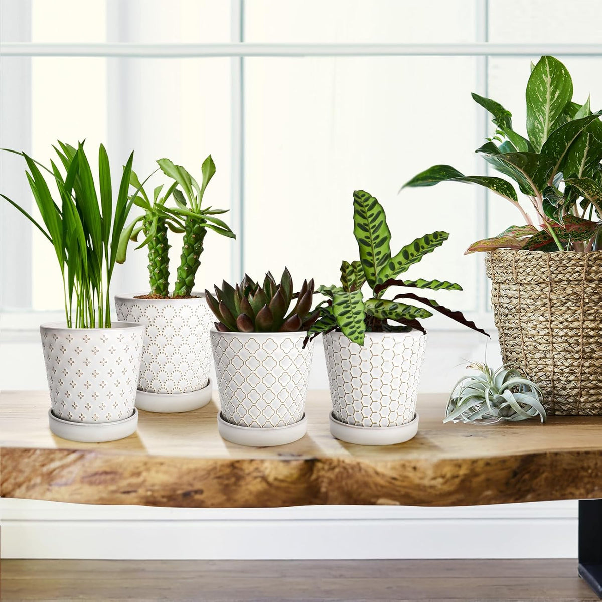 EFISPSS Ceramic Plant Pots Indoor, 5 Inch Planters with Drainage Holes and Ceramic Tray, Relief Design Flower Planter, Desktop Office Windowsill Decoration Gift Set of 4, White