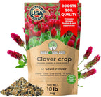 BuildASoil No-Till Clover Seed Cover Crop Blend 12 Species Cover Crop Seed Mix Premium Clover Seeds for Lawn - Plants Friendly Cover Crop for Garden - 60% Clover (10 LB Bag)