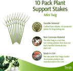 Twigs - Plant Support Stakes for Indoor, Outdoor & Climbing Plants, Gardening Supplies, Garden Accessories, Trellis & Ring Alternative, Made in USA - Peony (Light Green), 10 Pack, 12" L, Mini Twigs
