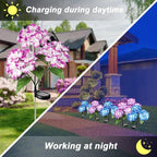 Solar Flowers Lights - Outdoor Waterproof Hydrangea Stake, Solar Flower Decor for Patio, Courtyard, Garden Lawn (Blue & Purple)
