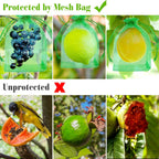 Morcheiong 60Pcs Protection Bags 8" x 12", Reusable Netting for Fruit Trees, Garden Mesh With Drawstring (Dark Green), M1076MCHYB