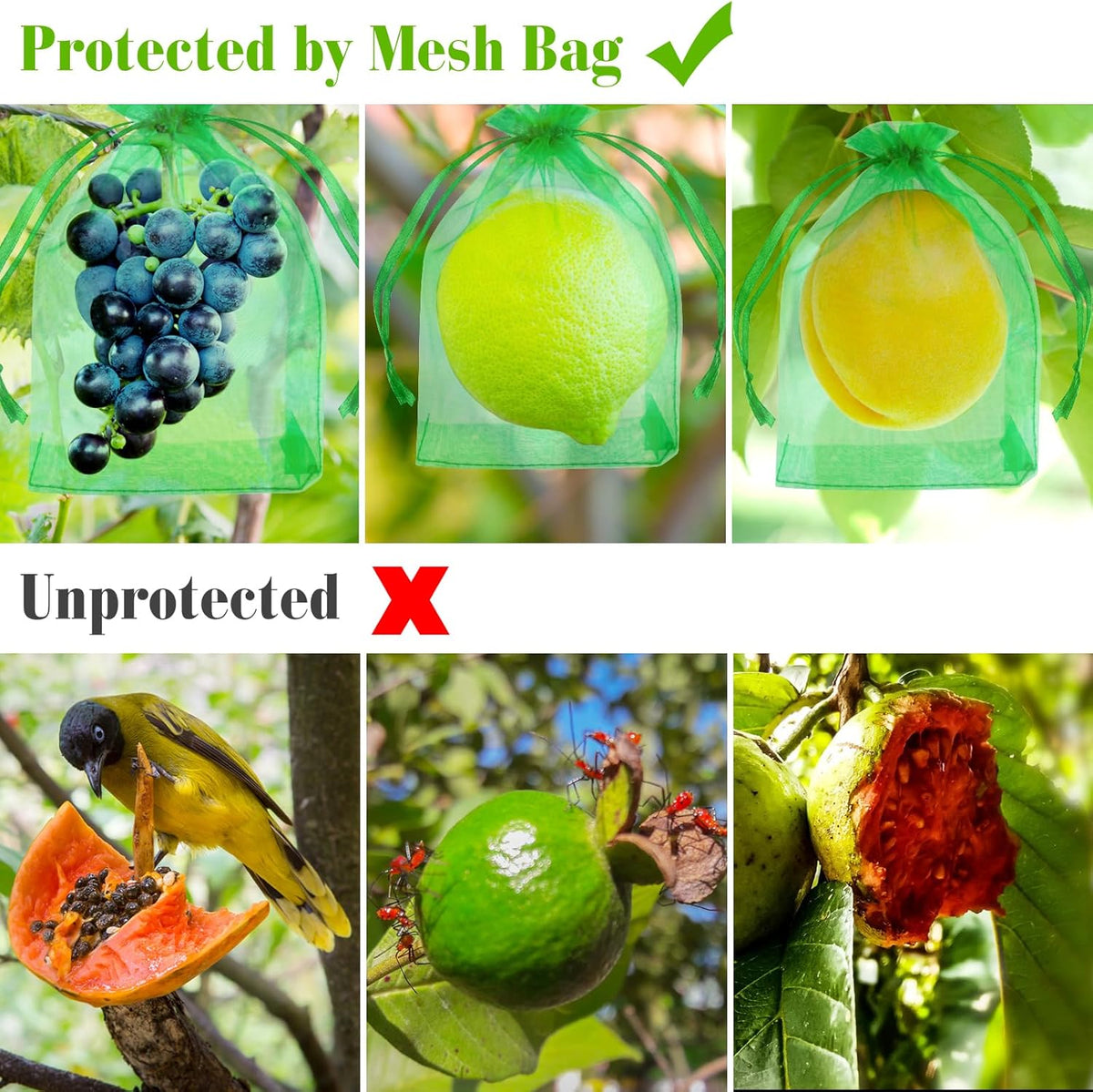 Morcheiong 60Pcs Fruit Protection Bags 6"" x 8"", Reusable Fruit Netting Bags for Fruit Trees, Garden Netting Mesh Bags with Drawstring (Dark Green), M1076MCHYB