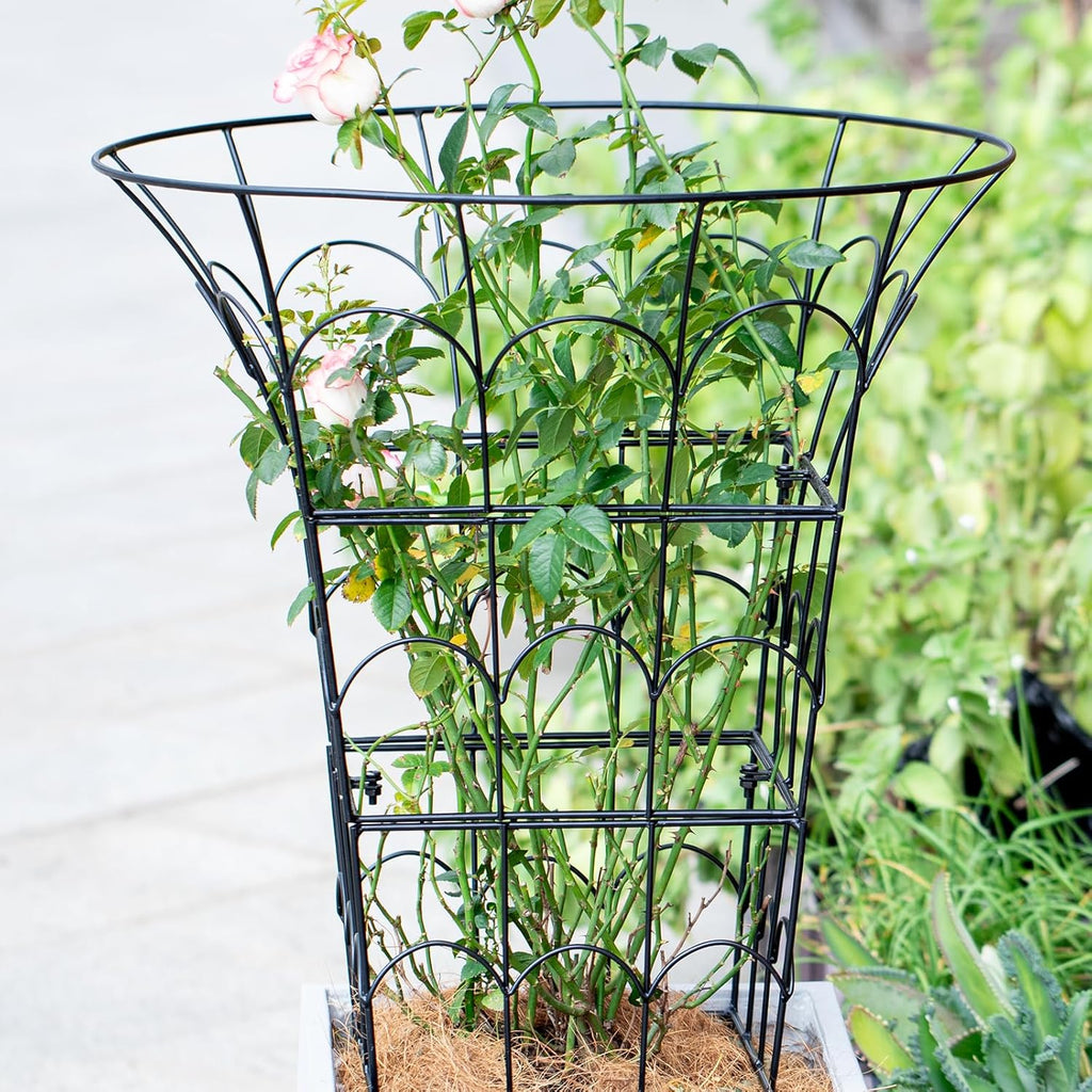 COOOXIM Peony Cages & Supports - Metal Plant Obelisk Trellis for Outdoor Use, 27.5 x 22 Inches, Perfect for Peonies, Roses, and Climbing Vines - Durable Garden Support Ring in M Shape