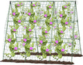 A-Type Cucumber Climbing pergola up to 50in up to 46-48in, Outdoor Climbing Triangle Plant Garden net, Vegetable Plant Support, loofah Climbing pergola
