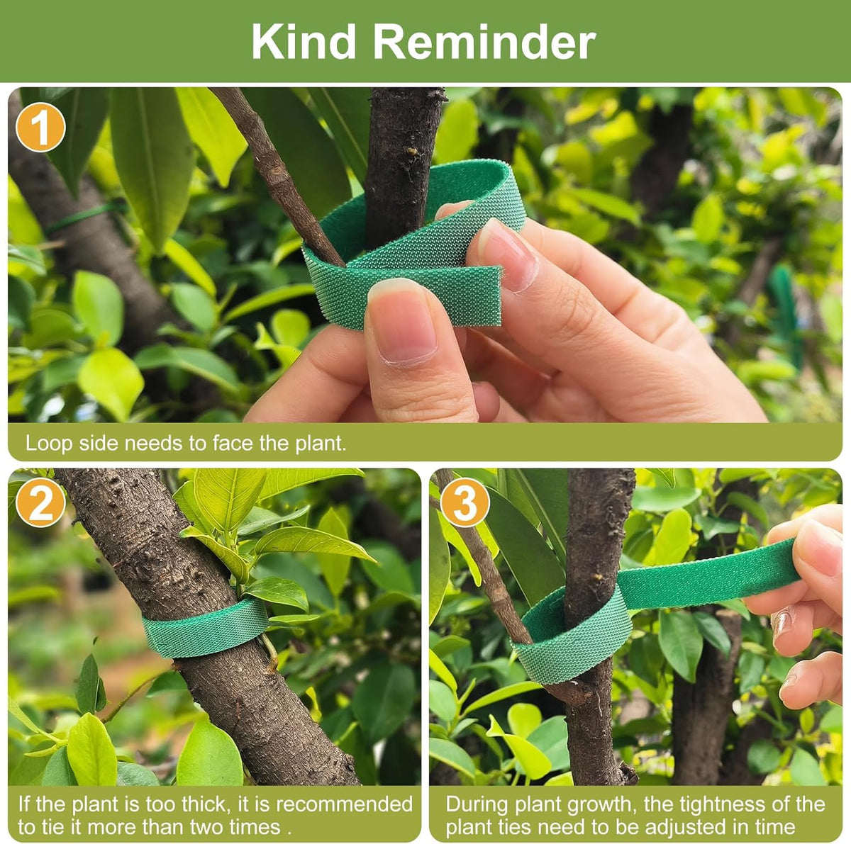 SumDirect Plant Tape 100 ft Plant Ties for Climbing Plants Garden Twist Ties Plants Adjustable Green Garden Tape for Plants, Flowers, Vines and Tree (100 ft x 1/2 in)