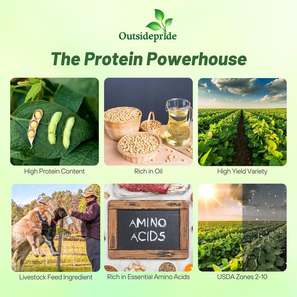 Outsidepride Soybean Seeds - 50 lbs High-Protein & High Yield Heirloom Variety Soy Beans, Ideal for Oil Processing, Forage, Animal Food Plots, & Wildlife Feed for Poultry & Other Farm Animals