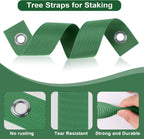 12 PCS Tree Straps for Staking, Tree Support Straps for Guying Staking Newly Planted Sapling Straight and Hurricane Protection, Heavy Duty Tree Stake Straps for Straightening