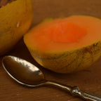 Minnesota Midget Melon - 25 Seeds - Heirloom Melon Variety, Great for Containers, Sweet & Easy-2-Grow, Non-GMO Cantaloupe Seeds for Planting Outdoors in The Home Garden, Thresh Seed Company