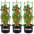 Tomato Cages with 10 Gallon Grow Bags, 48 Inches Garden Tomato Planter, 3-Pack Tomato Trellis for Raised Garden Bed, Tomato Cage Pots Plant Support Stakes Trellis for Climbing Plants Vegetable Flowers