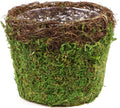 SuperMoss (55152 Vineyard Decorative Moss Basket Ideal for Home Decor, Office Decor, and Indoor Plants, Medium Size: 5.5″ x 4.7″, Fresh Green