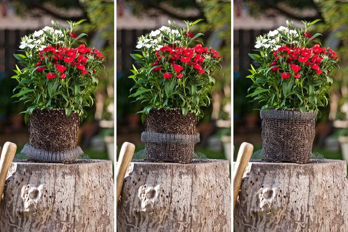 5pcs 5 Gallon Gopher and Vole Wire Baskets Protect Plants, Trees, Flowers and Bulbs from Voles, Gophers and Moles