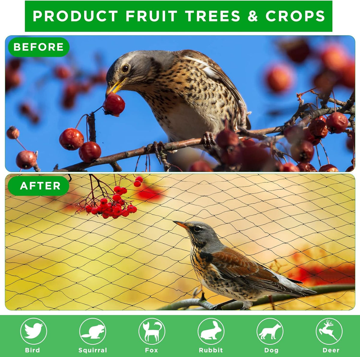 Windyun 1 Pc Bird Netting 50' x 100' Bird Net Chicken Coop 2.4" Mesh Heavy Duty Deer Fence Aviary Net Reusable Fruit Tree Poultry Barrier for Garden Protection Vineyard Against Hawk Squirrel, Black