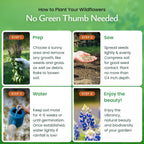 Created By Nature Texas Wildflower Seed Mix with Texas Bluebonnet Seeds, 17 Flower Varieties, 60,000+ Seeds
