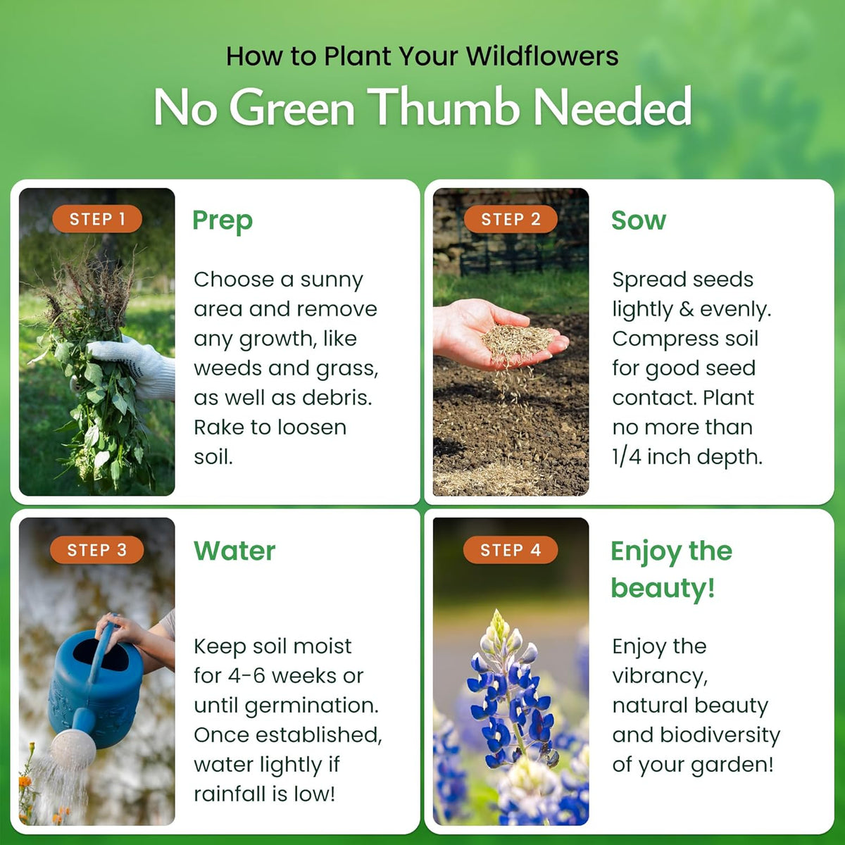 Created By Nature Texas Wildflower Seed Mix with Texas Bluebonnet Seeds, 17 Flower Varieties, 60,000+ Seeds
