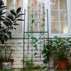 SCENDOR Metal Trellis 86.6" H x 29.5" W Powder-Coated Black Attractive Plant Support Garden Trellis Stylish Garden Addition Lattice Outdoor Yard Décor Roses Vine Ivy Clematis Trellises Black