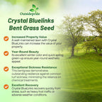 Outsidepride Crystal Bluelinks Creeping Bent Grass Seed - 5 lbs. Dense Turf Grass for Golf Greens & Putting Surfaces, Fine-Textured, Tolerant to Close Mowing for Smooth, Consistent Lawn Coverage