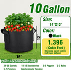 PHYEX 12-Pack 10 Gallon Grow Bags, Heavy Duty Fabric Pots with Handles, Reusable Plant Bags for Vegetable, Herbs & Flowers, BPA-Free, Breathable, Durable