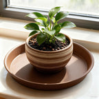 Plant Saucer 12 inch, Heavy Large Planter Durable Thicker Plastic Plant Trays for Indoors and Outdoor, Plant Saucer Drip Trays,Brown (12" - 3 Pack)