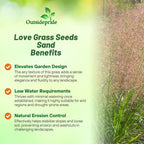 Outsidepride Sand Love Grass Seeds - 10,000 Pcs. Perennial, Easy to Grow, Drought-Tolerant, Tall Ornamental Grass, Thrives in Sandy Soil, Wind & Erosion Control for Landscaping, Year-Round Beauty