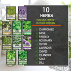 10 Kit Non-GMO Growing into Thyme, Lavender, Chamomile, Dill, Chives, Cilantro, Rosemary, Basil, Parsley, Sage Indoor/Outdoor for Kitchen Windowsill Gardening Gift