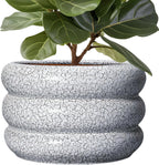SQOWL Ceramic Plant Pots - 13.5 Inch Ceramic Planter with Drainage Hole, Large Round Planter for Indoor Plants, Modern Flower Pots Outdoor, Office Living Room Decor, Birthday Gifts, Black and White