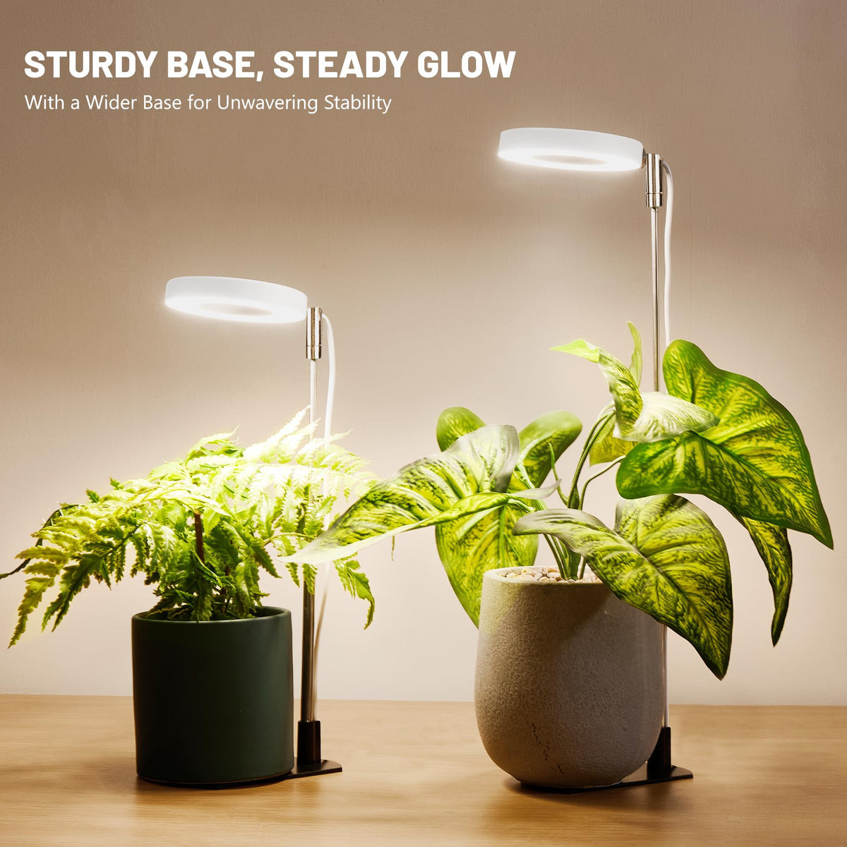 LBW Grow Lights for Indoor Plants, Full Spectrum Halo Grow Light with Base