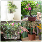 12 Pack Plant Support Stakes, 6.3 x 5.9 Inch Plastic Plant Cage Holders, Half Round Plants Support, Garden Flower Stakes for Indoor Outdoor Climbing Plants Vegetable Flower Pot