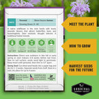 Survival Garden Seeds - Bergamot Herb (Bee Balm) Seed for Planting - 3 Packets with Instructions to Grow Monarda Fistulosa Wildflowers in Your Home Vegetable Garden - Non-GMO Heirloom Variety